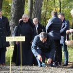 Inauguracja akcji Pola Nadziei 2016 w Bielsku-Białej