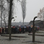 Z krzyżem przez były obóz zagłady Birkenau