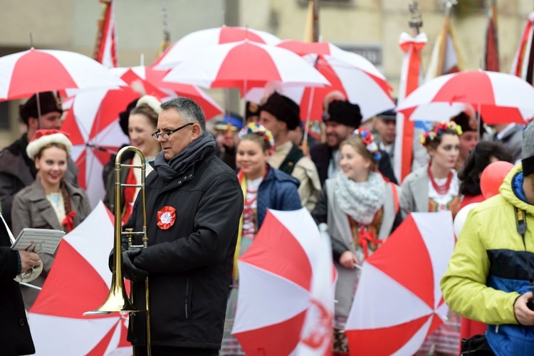 Marsz Niepodległości w Świdnicy