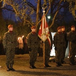 Święto Niepodległości w Bielsku-Białej - 2016