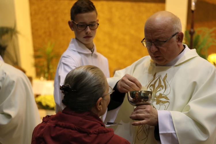 Święto Niepodległości w Bielsku-Białej - 2016