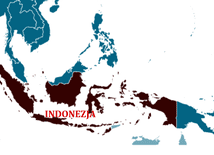 Indonezja: różne grupy jednoczą się przeciw estremizmowi