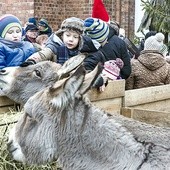 – Betlejemski żłóbek uświadamia nam, że Bóg jest obecny pośród swojego ludu – powiedział abp Henryk Hoser.