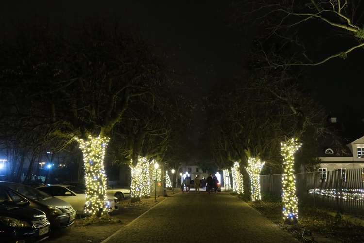 Rozświetlony Park Oliwski