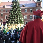 Bez wielbłąda, ale radośnie