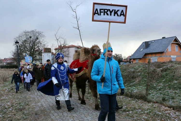 Orszak Trzech Króli w Brzegu Dolnym