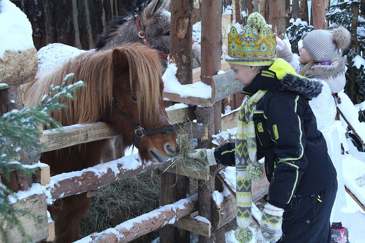 Królewscy w Betlejem