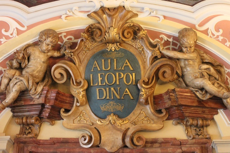 Aula Leopoldyńska nabiera blasku