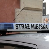 Straż Miejska najwięcej pracy ma w Śródmieściu