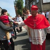 Pielgrzymka mężczyzn i młodzieńców do Piekar 31 maja 2015 r.