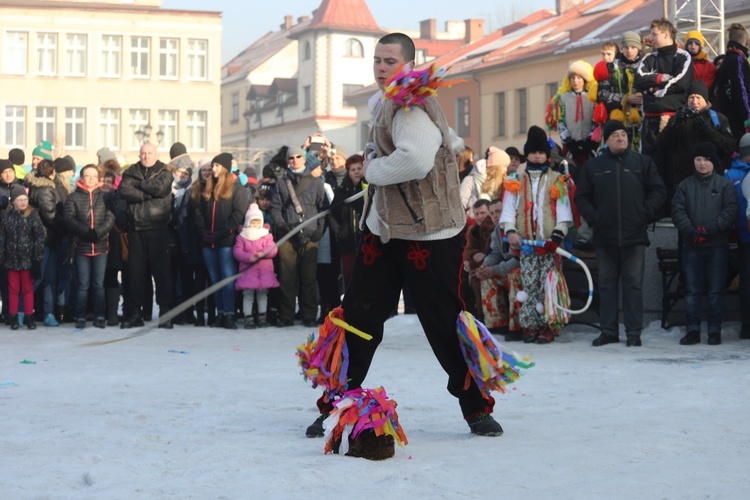 Gody Żywieckie w obiektywie - 2017