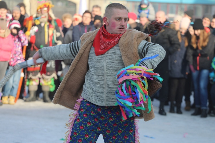 Gody Żywieckie w obiektywie - 2017