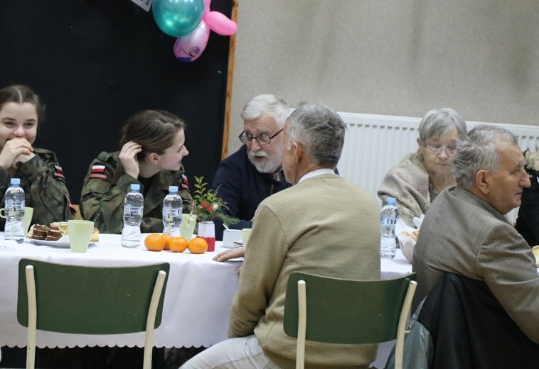 Spotkanie partyzanckich rodzin NSZ w Ciścu - 2017