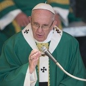Papież o "świętym wstydzie"