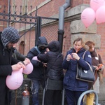 Protest przeciwko programowi in vitro