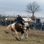 Jarmark Koński w Skaryszewie