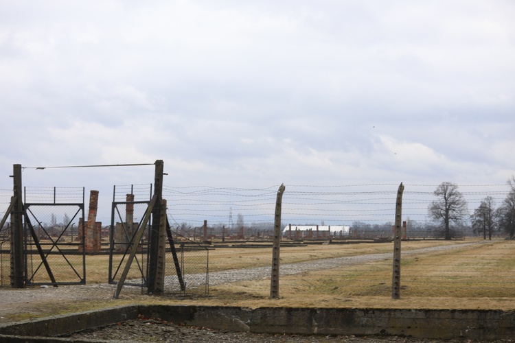 Droga Krzyżowa w intencji trzeźwości w byłym KL Birkenau 2017