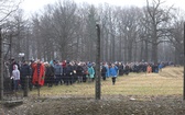 Droga Krzyżowa w intencji trzeźwości w byłym KL Birkenau 2017