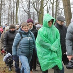 Droga Krzyżowa w intencji trzeźwości w byłym KL Birkenau 2017