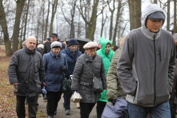 Droga Krzyżowa w intencji trzeźwości w byłym KL Birkenau 2017