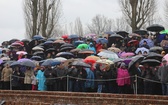 Droga Krzyżowa w intencji trzeźwości w byłym KL Birkenau 2017