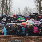 Droga Krzyżowa w intencji trzeźwości w byłym KL Birkenau 2017