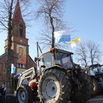 Powitanie ikony MB Częstochowskiej w Pacynie