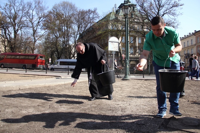 Sianie papieskiej łąki