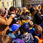 Marsz Żonkilowy w Oławie