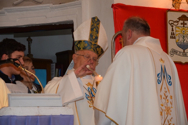 Powitanie ikony MB Częstochowskiej w Trębkach