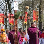 Niedziela Palmowa w Piekarach Śląskich