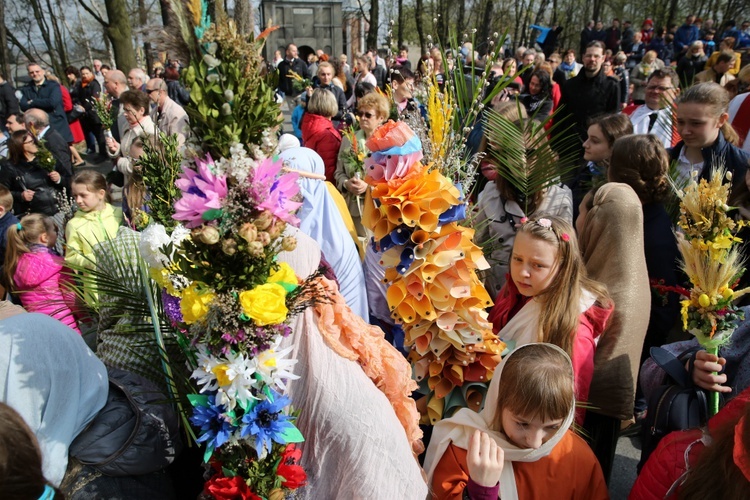 Niedziela Palmowa w Piekarach Śląskich