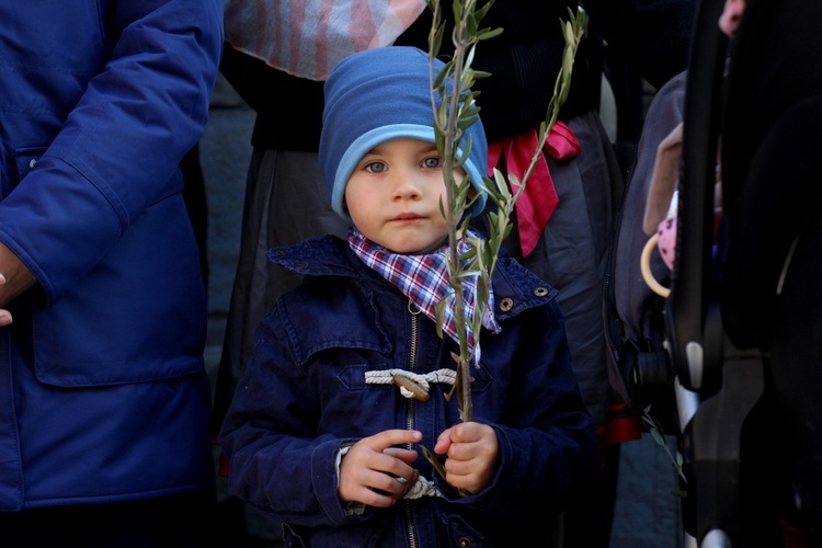 Niedziela Palmowa na Wawelu - 9.04.2017