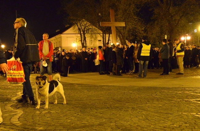 Droga Krzyżowa w Radomiu