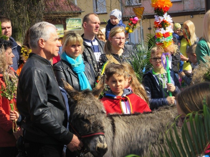 Niedziela Palmowa w Drezdenku