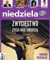 Niedziela 15/2017