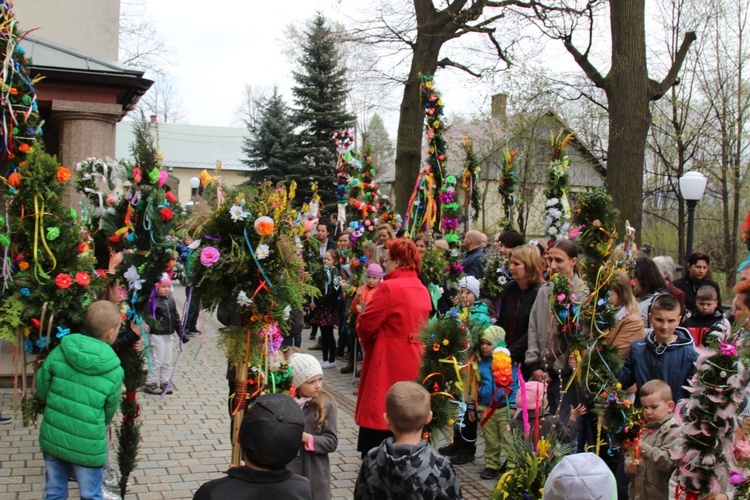 Palmowa procesja w Czańcu - 2017