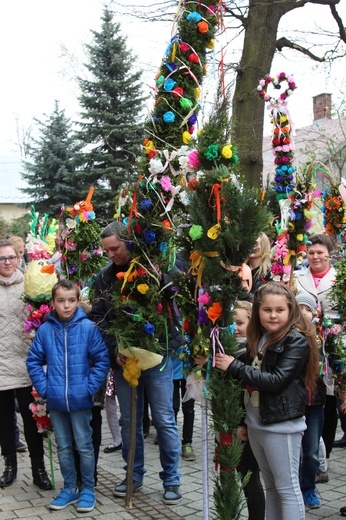 Palmowa procesja w Czańcu - 2017