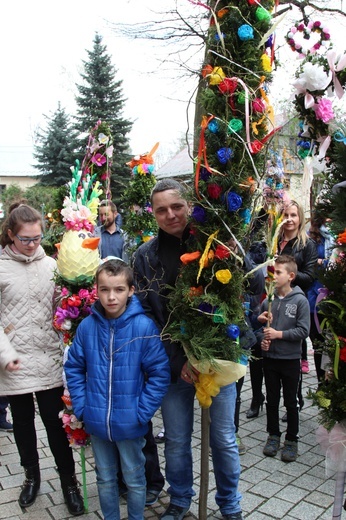 Palmowa procesja w Czańcu - 2017