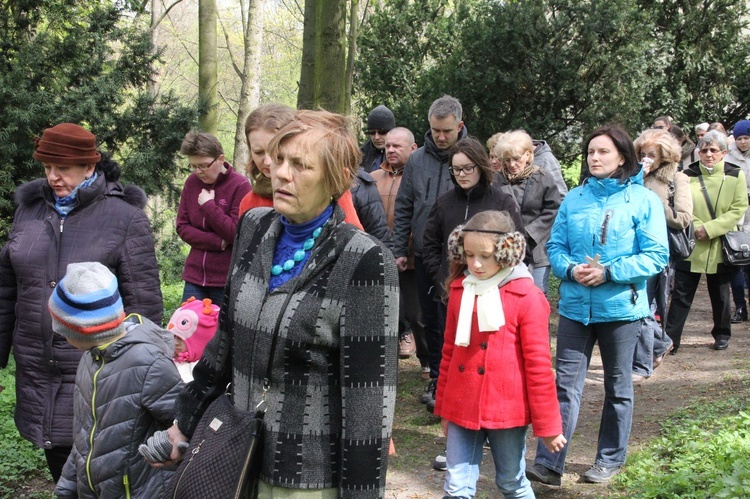 Nabożeństwo w dzikowskim parku