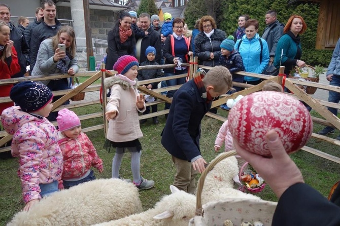 Święcenie pokarmów wspólnie z owieczkami 