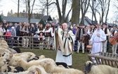 Święto Bacowskie w Ludźmierzu 2017