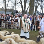 Święto Bacowskie w Ludźmierzu 2017