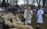 Święto Bacowskie w Ludźmierzu 2017