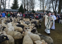 Święto Bacowskie w Ludźmierzu 2017