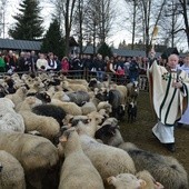 Święto Bacowskie w Ludźmierzu 2017