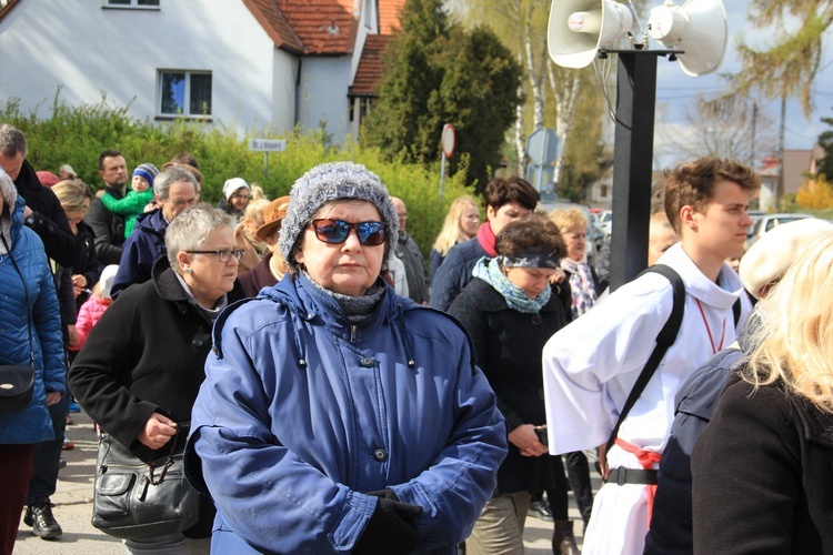 Niedziela Miłosierdzia 2017