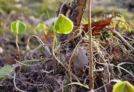 Fundamentem nadziei jest miłość Boga do człowieka