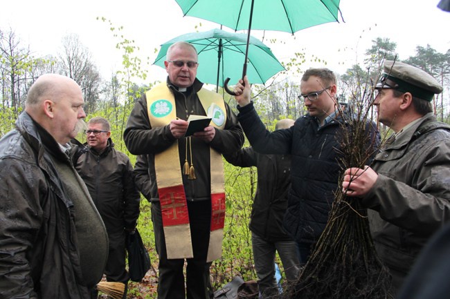 Święto Lasu w Radomiu