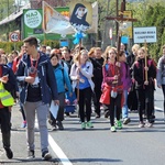 Grupa św. Faustyny 2017